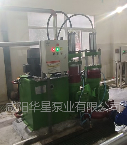 污水處理廠使用YBH250柱塞泥漿泵