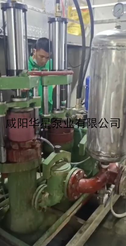 IMG_202601195319 IMG_202601195319